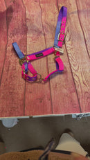 Auslaufartikel Halfter Rainbow Pony-WB