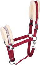 Halfter Lyrics VII mit coolen Sprüchen