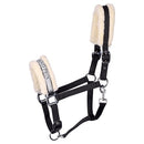 Halfter Lyrics VII mit coolen Sprüchen