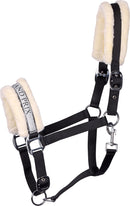 Halfter Lyrics VII mit coolen Sprüchen