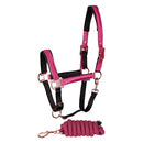 Halfterset El Pinto SU23 Shetty