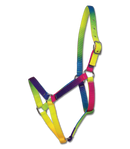 Halfter Regenbogen, VB und WB
