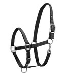 Halfter Satin  Shetty-Xfull