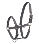 Halfter Satin  Shetty-Xfull