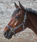 Halfter Satin  Shetty-Xfull