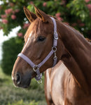 Halfter Satin  Shetty-Xfull