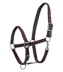 Halfter Satin  Shetty-Xfull