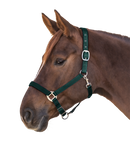 Halfter Satin  Shetty-Xfull