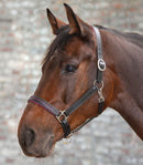 STAR LEDERHALFTER DIAMOND