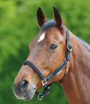 Auslaufartikel Halfter Crystal WB