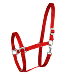 Halfter Perlon Shetty-WB