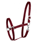 Halfter Perlon Shetty-WB