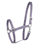 Halfter Perlon Shetty-WB