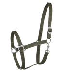 Halfter Perlon Shetty-WB