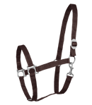 Halfter Perlon Shetty-WB