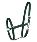 Halfter Perlon Shetty-WB