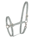 Halfter Perlon Shetty-WB