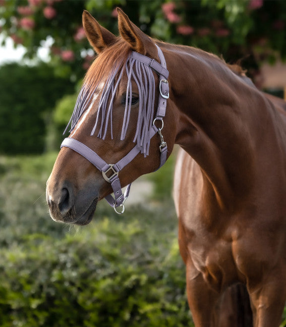 FLIEGENFRANSEN SALON Pony WB