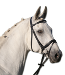 STAR Trensenzaum Lifestyle