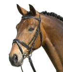 STAR Trensenzaum Lifestyle