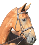 STAR Trensenzaum Lifestyle