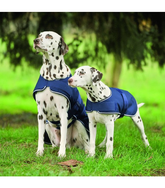 REGEN-HUNDEDECKE