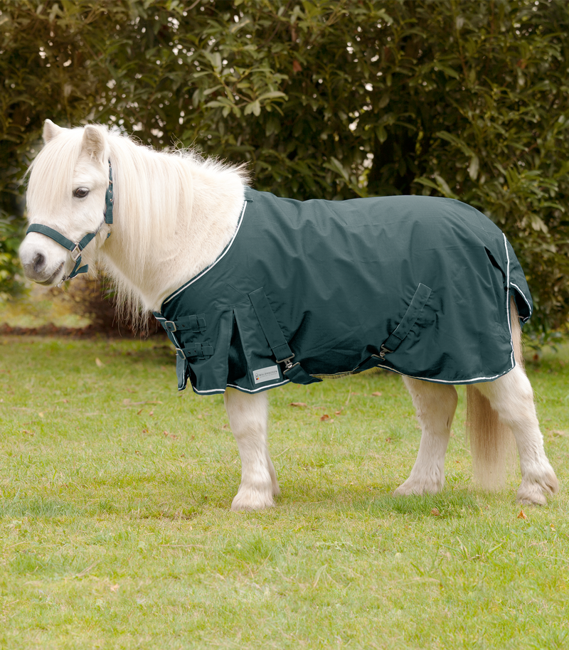 SHETTY-REGENDECKE 70-90cm