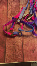 Auslaufartikel Halfter Rainbow Pony-WB