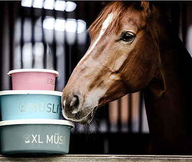 XL MÜSLI-SCHALE MIT DECKEL