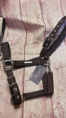 Auslaufartikel LAMI-CELL „AURORA" HALFTER Cob