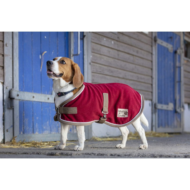 DIEGO & LOUNA „POLYFUN" HUNDEDECKE