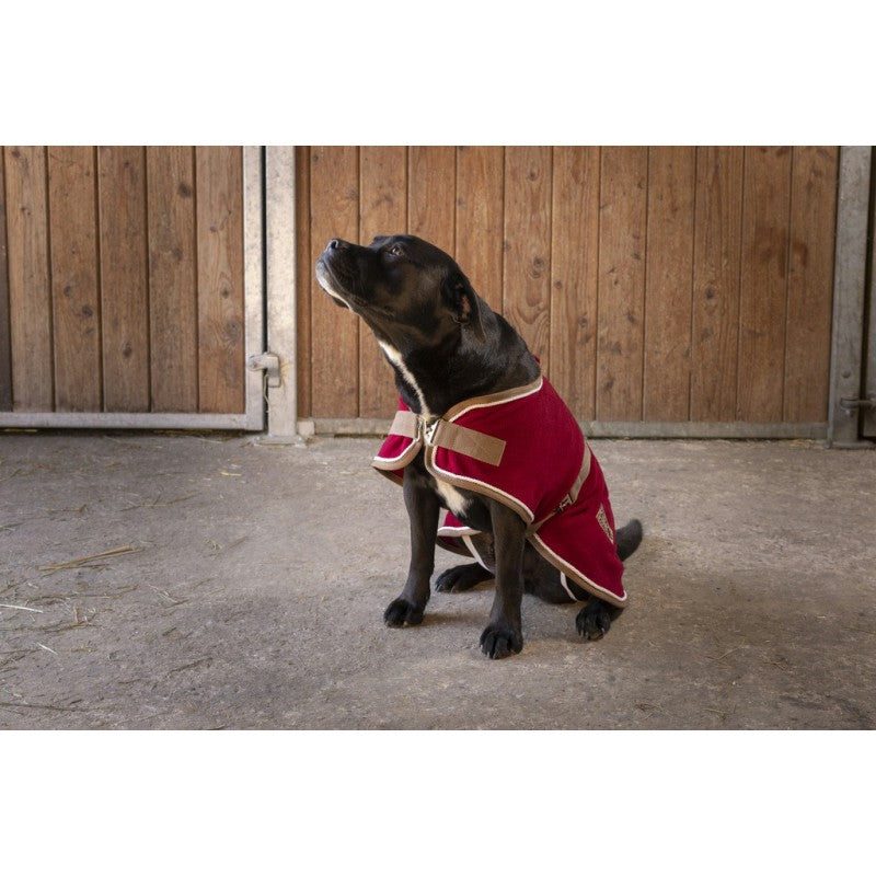 DIEGO & LOUNA „POLYFUN" HUNDEDECKE