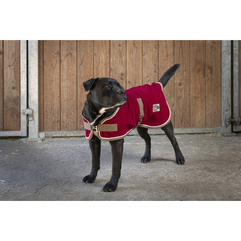 DIEGO & LOUNA „POLYFUN" HUNDEDECKE