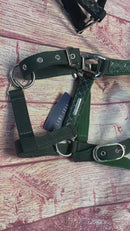 Auslaufartikel LAMI-CELL "VENUS" HALFTER