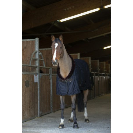 Auslaufartikel EQUITHÈME "TEDDY" ABSCHWITZDECKE