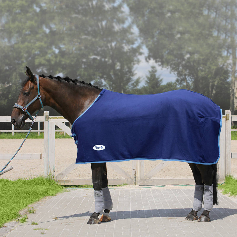 Abschwitzdecke York Ekona