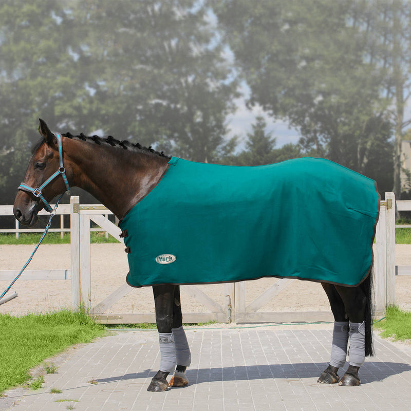 Abschwitzdecke York Ekona