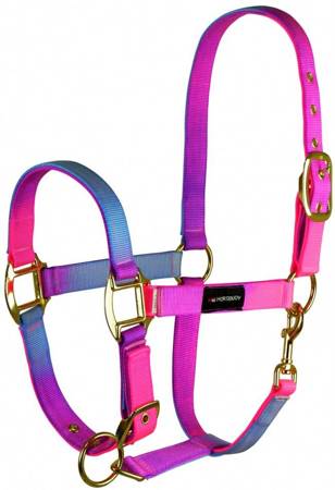 Halfter Rainbow Pony-WB