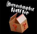 🐴🎁 Überraschungsbox Halfter inkl Druck