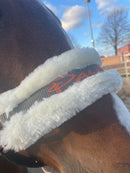 🐴🎁 Überraschungsbox Halfter inkl Druck