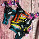 Hundegeschirr Doodlebone 3-10