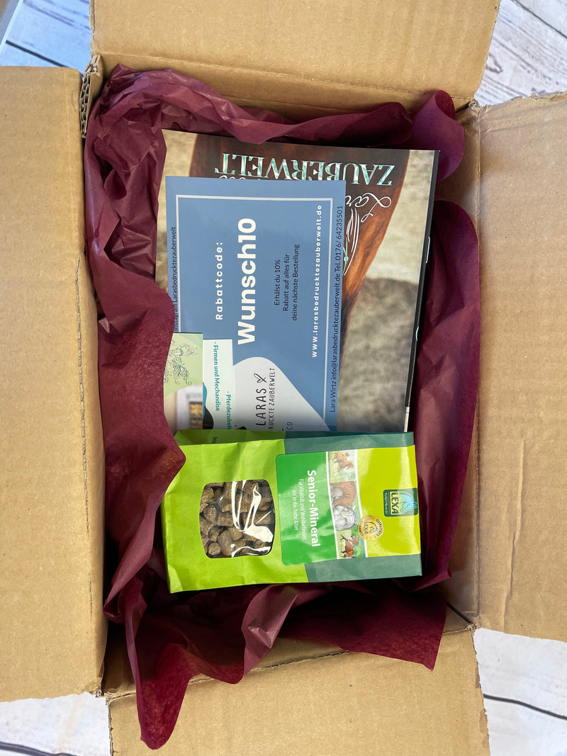 Überraschungsbox Fliegenschutz