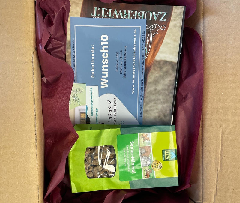 Überraschungsbox Reiter
