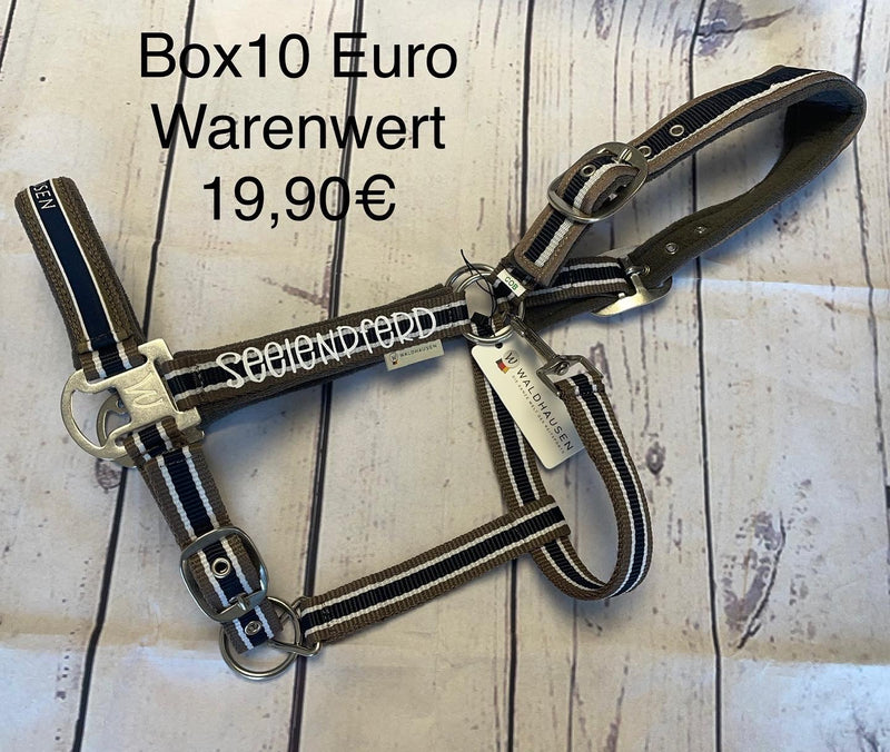 Überraschungsbox Reiter