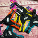 Hundegeschirr Doodlebone 3-10