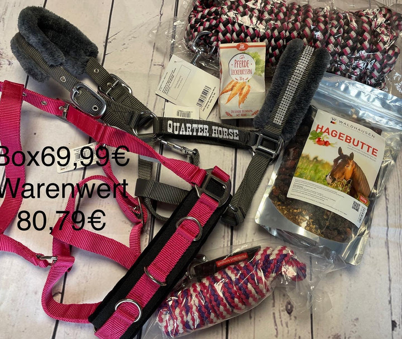 Überraschungsbox Reiter