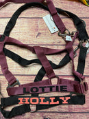 🐴🎁 Überraschungsbox Halfter inkl Druck