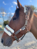 🐴🎁 Überraschungsbox Halfter inkl Druck