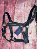 Auslaufartikel LAMI-CELL „AURORA" HALFTER Cob