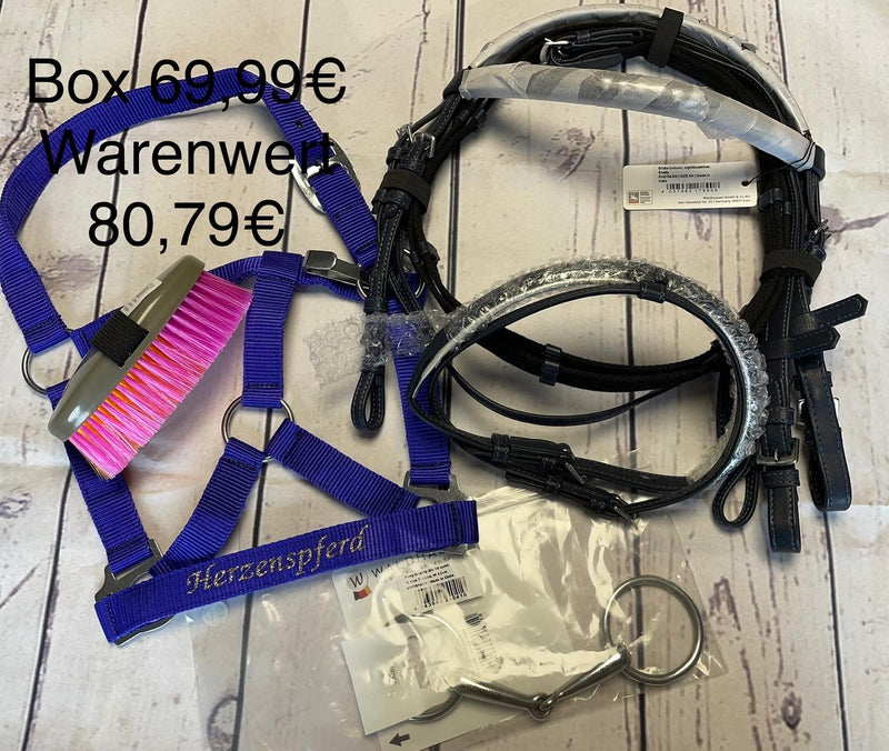 Überraschungsbox Reiter